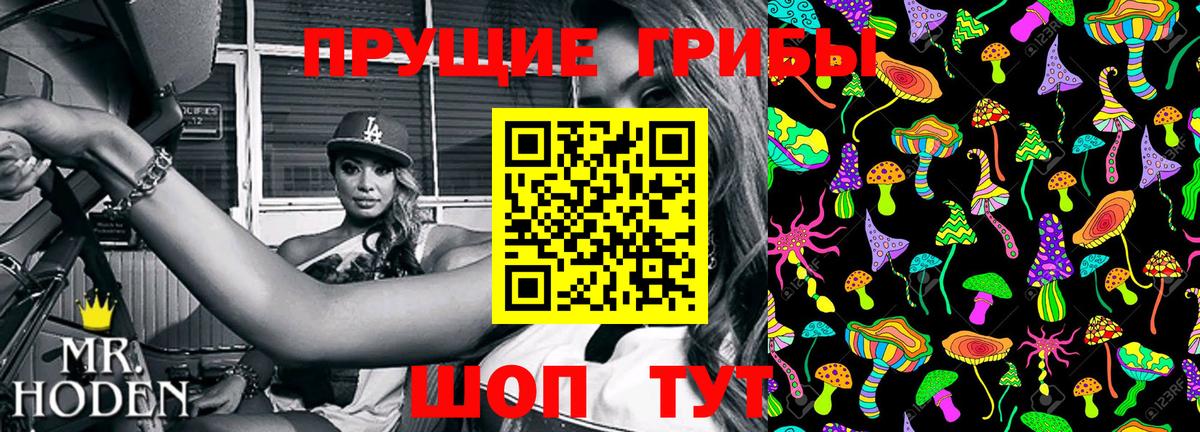 Галлюциногенные грибы прущие грибы  Вход с VPN  Электросталь 